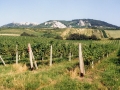 palava2